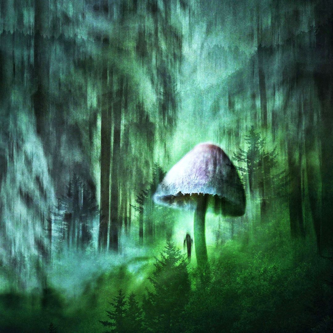 Christine Wendl