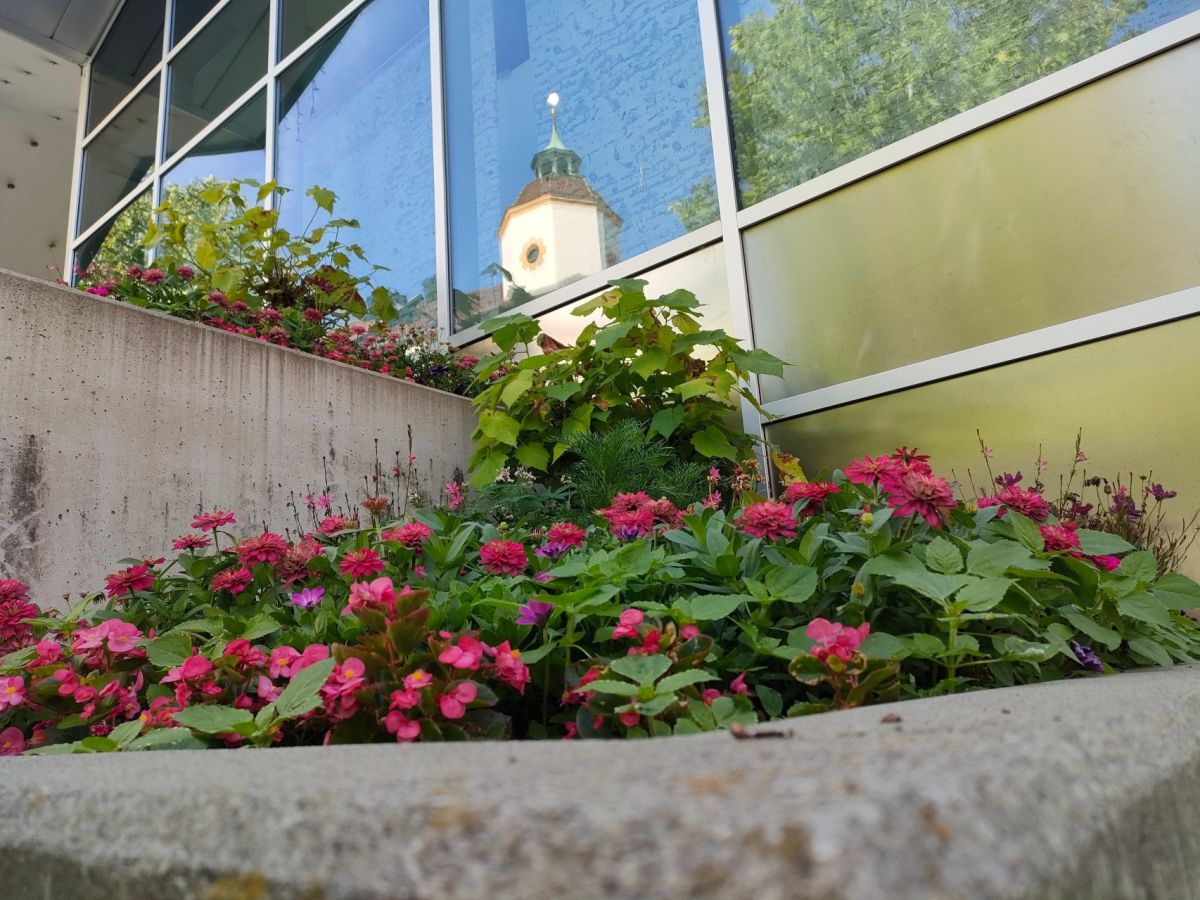 copyright bei den Azubis der Stadtgärtnerei Kempten
